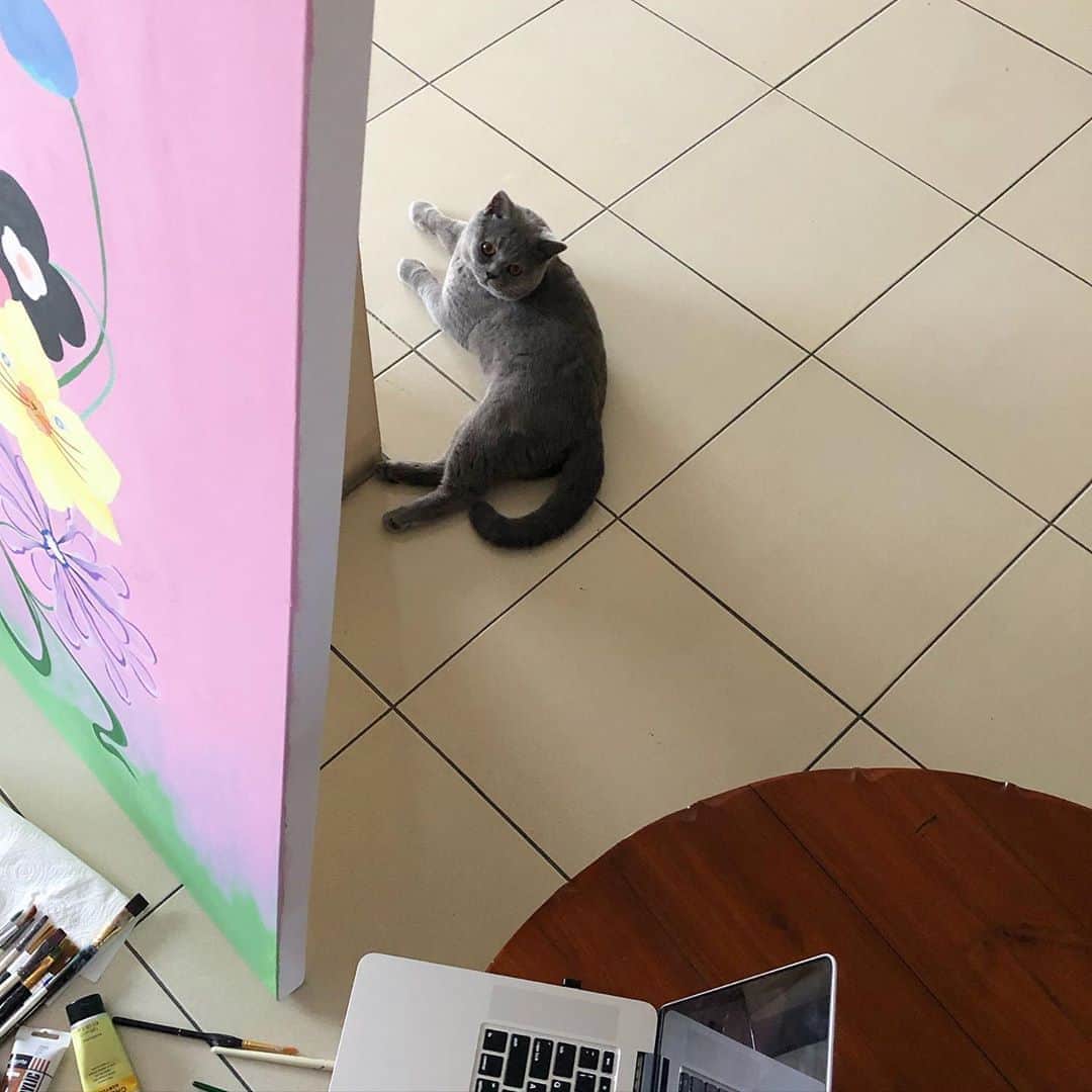 晴日のインスタグラム：「What mom ?」