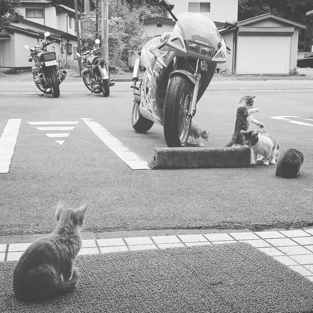 小川真司さんのインスタグラム写真 - (小川真司Instagram)9月20日 17時03分 - maguromaru34