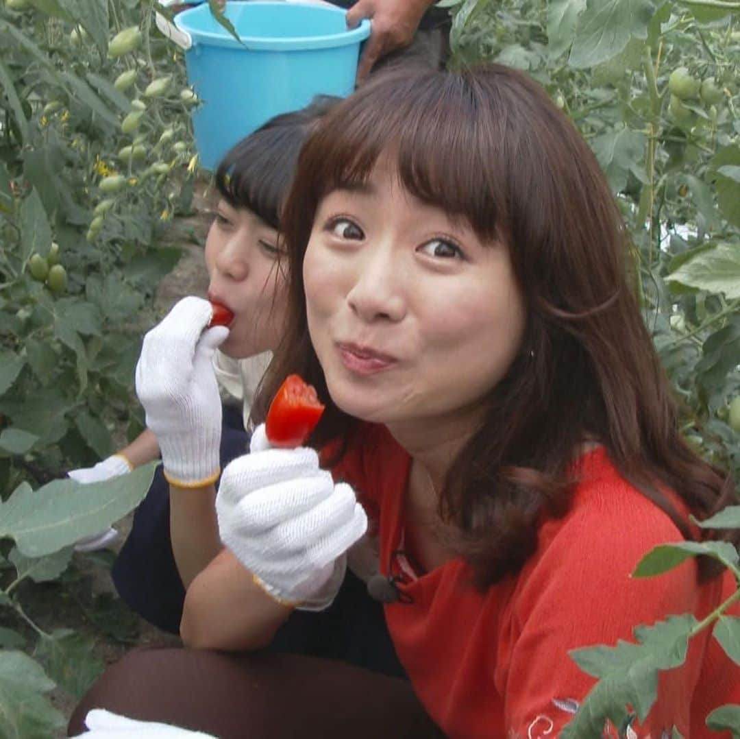 BSNジョシ部さんのインスタグラム写真 - (BSNジョシ部Instagram)「重大発表！﻿ ﻿ 先週の番組でお伝えしましたが、﻿ 新潟ジョシ部！はあさっての放送で﻿終了です　涙﻿ ﻿ 女子力アップを目指し、﻿ 今井部長とBSNの女子アナが﻿ 新潟の街に飛び出し、﻿ いろんな体験をしてきました。﻿ ﻿ そこで、きょうあすと﻿ 5年にわたる活動を投稿します！﻿ ぜひご覧ください﻿ ﻿ あと、あさっての最終回も観てください﻿ ﻿ ※BSNアプリで見逃し配信もやってます﻿ ﻿ #新潟ジョシ部 #ジョシ部 #新潟 #BSN #BSNアナウンサー #今井美穂 #BSNジョシ部 #三石佳那　#林莉世　#行貝寧々」9月20日 17時29分 - bsnjoshibu