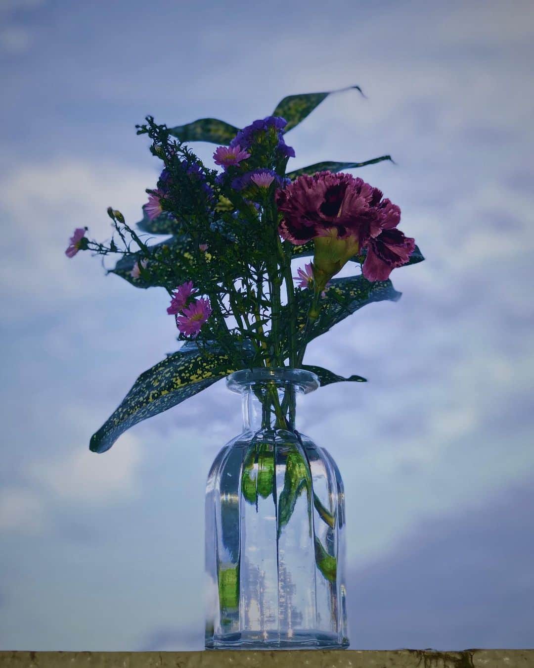 のインスタグラム：「やっとお家に届きました🌷 色合いも可愛くて常に部屋を明るくしてくれます♥ 毎週or隅週でお花が届くの☺️  そしてなんと特別に10名様限定で初回80％OFFになるそうです！ クーポンコードは「1G4M」 是非みんなも素敵なおうち時間をすごしてね✨ . . . #medelu #medelu_official  #お花の定期便 #お花のある暮らし  #flower #ベランダフォト #おうち時間」