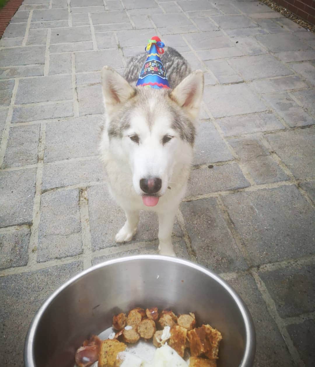 トニア・コーチのインスタグラム：「🎉Happy 7th birthday to boy @nanookcouch . I love you more then anything ❤️ now let's go to the beach 🏖️」