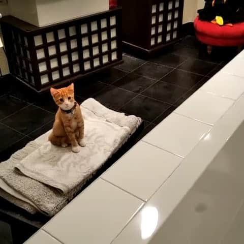 オクサナ・カザコワのインスタグラム