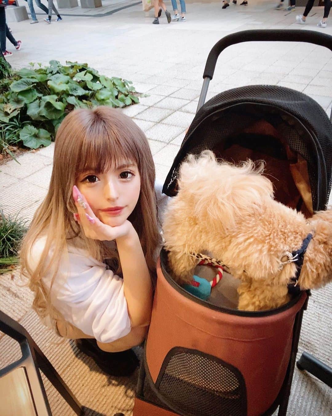 アンジェリカのインスタグラム：「❤︎ .  らるさん【🐶】は  おやつに夢中でした(  #`꒳´ )♥(笑) ちょっと久しぶりに遠くにお出かけできたから らるさん【🐶】はもうﾈﾝﾈしてます🧡🧡  かわい〜ｯ!!!🥺✨  また連れて行くゾ〜らるさーん🧡🧡🧡笑笑 .」