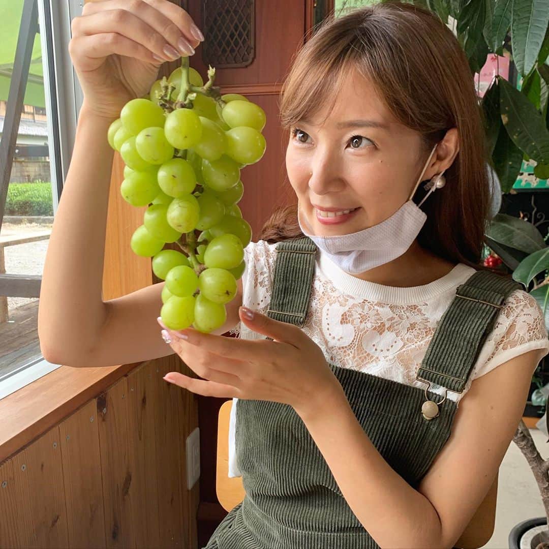 小野澤玲奈のインスタグラム：「ことしも愛してやまない シャインマスカット💚  665gの大物をつかまえました😋  あま〜い！  それにしても急に風が涼しくて切ない。  #大塚ぶどう園  #ぶどう狩り #静岡 #静岡市  #シャインマスカット  #シャインマスカット狩り  #ピオーネもおいしい  #秋 #夏が好き #😢」