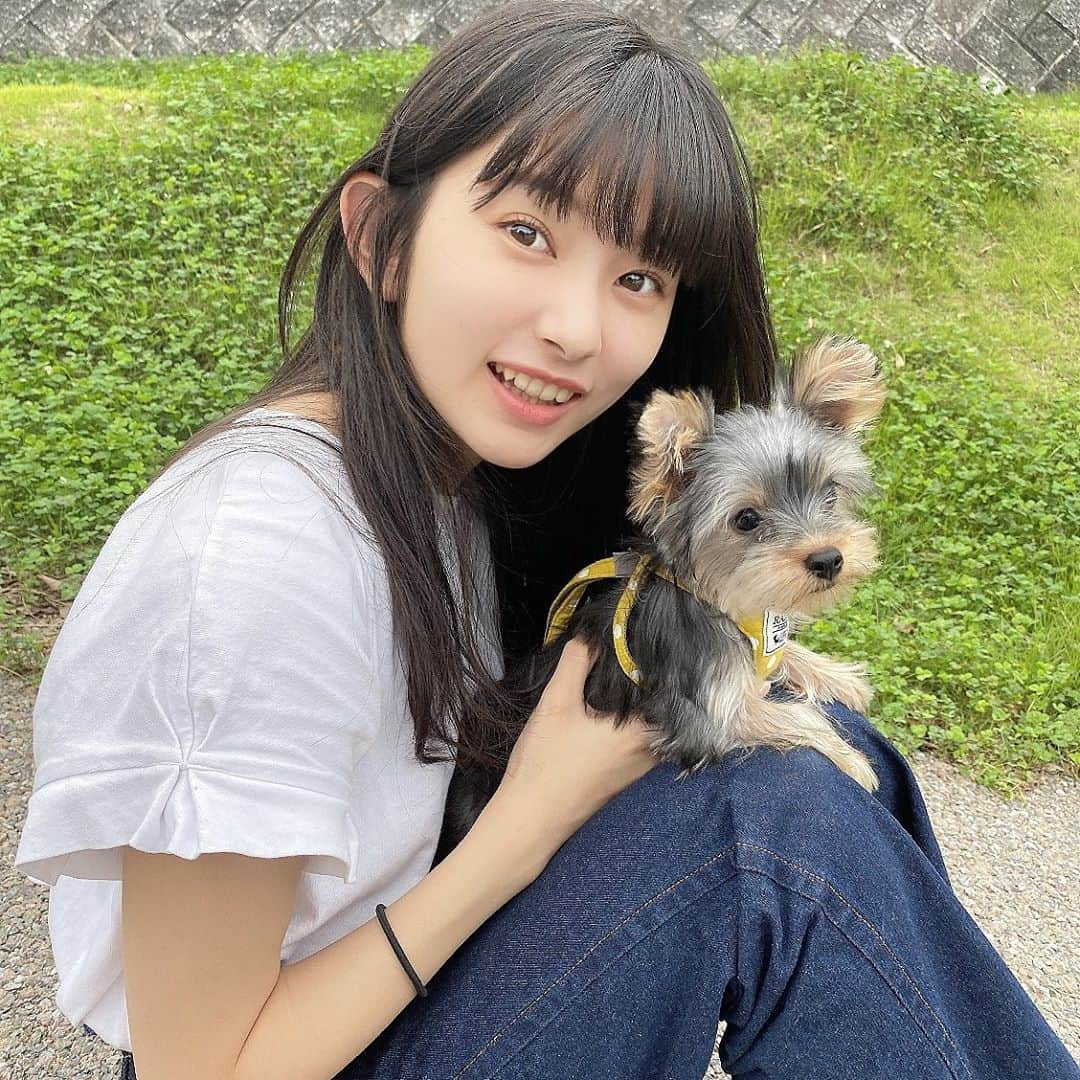 瀬田さくらさんのインスタグラム写真 - (瀬田さくらInstagram)「. お散歩したよ🐶 最後の写真、私とうめちゃんの意識がバラバラな感じでなんか面白い😂 . #🐶 #お散歩 #うめちゃん可愛い。 #瀬田さくら #ちゃん瀬田 #ばってん少女隊 #ばっしょー」9月20日 19時47分 - seta_sakura_official