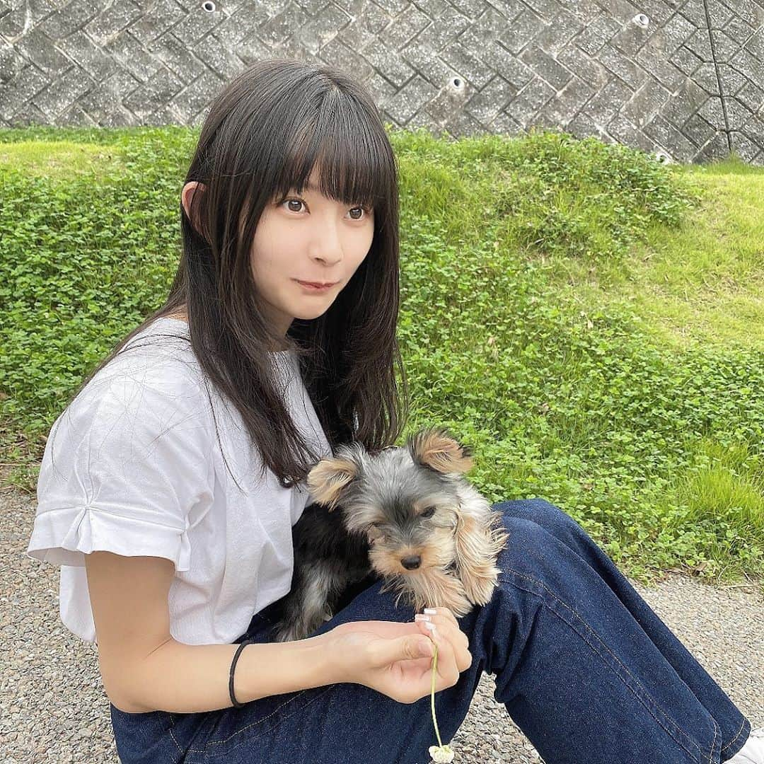 瀬田さくらさんのインスタグラム写真 - (瀬田さくらInstagram)「. お散歩したよ🐶 最後の写真、私とうめちゃんの意識がバラバラな感じでなんか面白い😂 . #🐶 #お散歩 #うめちゃん可愛い。 #瀬田さくら #ちゃん瀬田 #ばってん少女隊 #ばっしょー」9月20日 19時47分 - seta_sakura_official