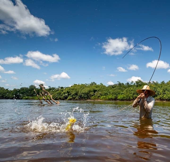 Costa Sunglassesのインスタグラム：「Dorado dance. 📷: @theflyfishingnation #SeeWhatsOutThere #BornOnTheWater」