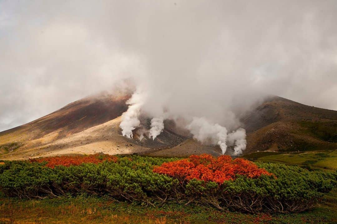 Michael Yamashitaさんのインスタグラム写真 - (Michael YamashitaInstagram)「Fall foliage approaches peak this weekend on the slopes of Asahidake volcano, the highest mountain (2291 m) in Daisetsuzan National Park. The first place in Japan to see fall colors and snow each autumn, Daisetsuzan (meaning "great snowy mountains"), is located in the center of the northern most island of Hokkaidō. At 2,267 square kilometres, it is the largest national park in Japan,  preserving an area of virtually unspoiled wilderness. #autumn #fallfoliage #asahidake #daisetsuzan #hokkaido #daisetsuzannationalpark #japanfall」9月21日 6時42分 - yamashitaphoto