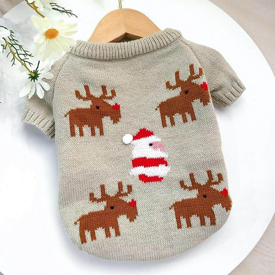 French Bulldogさんのインスタグラム写真 - (French BulldogInstagram)「New Christmas French Bulldog Clothing JUST IN 🌲🎅🎁🎄🦌 Only In @frenchie.world Shop 🛒🛍 . . . . . #frenchie #frenchies  #französischebulldogge #frenchbulldog #frenchbulldogs #dog #dogsofinstagram #frenchies1 #bully #bulldog #bulldogfrances #フレンチブルドッグ #フレンチブルドッグ #フレブル #ワンコ #frenchiesgram #frenchbulldogsofinstagram #ilovemyfrenchie #batpig #buhi #squishyfacecrewbulldog」9月21日 7時02分 - frenchie.world