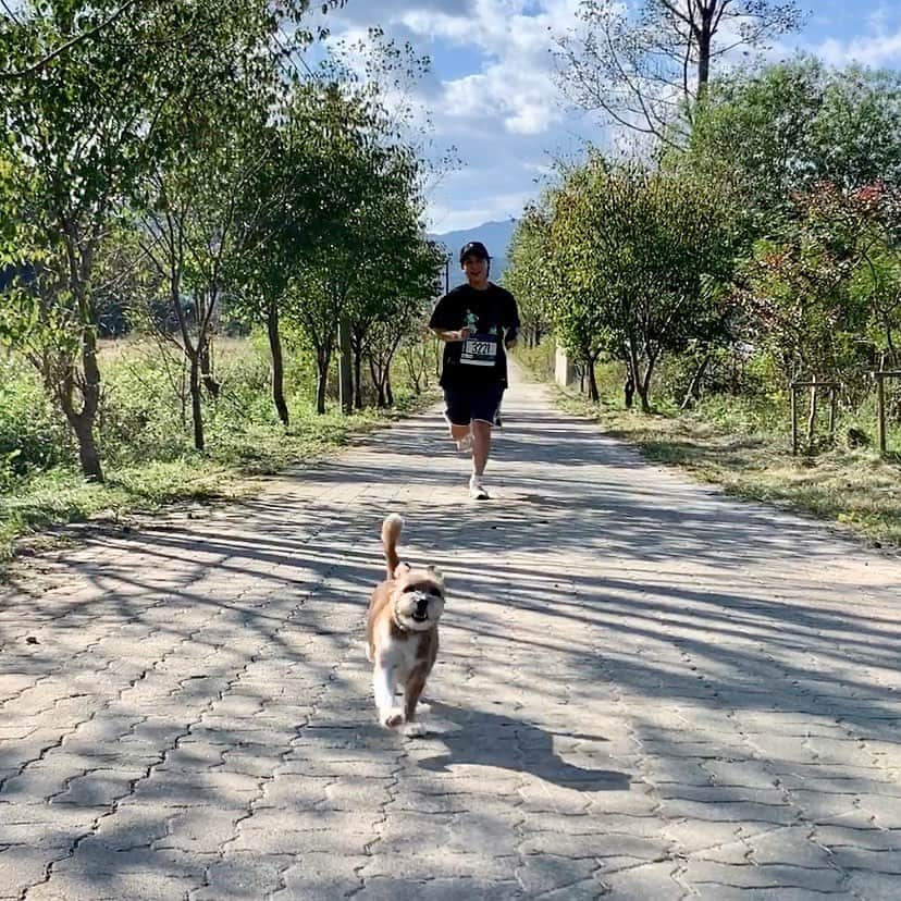 パク・ヒボンさんのインスタグラム写真 - (パク・ヒボンInstagram)「바야바 선수도 함께 출전했으나 3km 남짓 지나 기권하고 혼자서 겨우 완주🦾 그래도 메달은 바야바 선수 목에🐶 #untactrun답게 #달리는동안단한명도마주치지않았🐿 #운동화끈단디묶어주던 #나으사랑나이키 #코치님들런크루들없어서 #예상대로걷뛰걷뛰했지모 #런닝후엔 #beachcleanup #SONKEECHUNG  #하고자하면된다👊🏾 #untactrun #gsur10k #prrc1936 #thisisneverthat #gs25 #고성 #nikerunning #nikereactinfinityrun」9月20日 22時43分 - heevonne