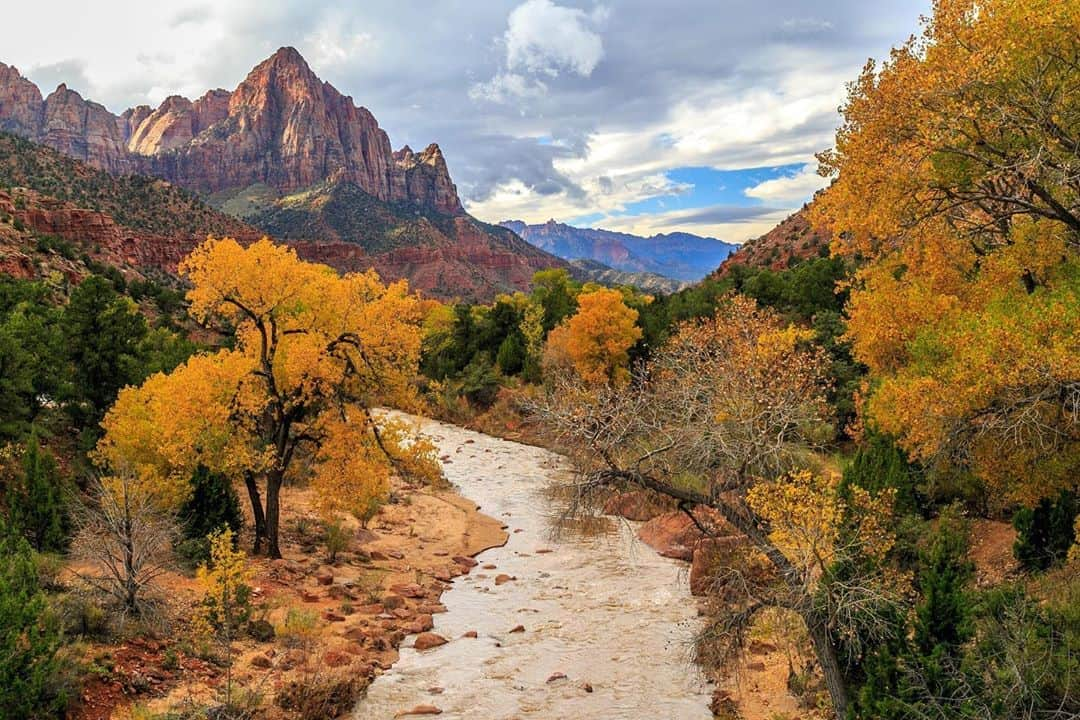 CANON USAさんのインスタグラム写真 - (CANON USAInstagram)「"I haphazardly snapped this photo during one of our fall visits to Zion. I noticed this view as we were driving by, and made my husband quickly pull over so that I could run back and capture it while he waited in the car with our napping infant. (Don't worry, I swapped with him on baby duty so that he could also run back and admire the beauty!) What caught me off guard about this particular moment, on this particular day, was the light. The sky was a mix of clouds and sun, constantly changing how the light hit the landscape. During this fortuitous morning, there was no one out here but me. It felt almost like a "secret" to be witnessing this soft light with these lovely fall colors. Completely unplanned and totally inspiring. It almost looked like a painting instead of real life. It has remained one of my most vivid and cherished memories." 🍂Thank you for sharing your #CanonMemories with us, @ninamayerritchie!  📷Camera: #Canon EOS 6D  Lens: EF 24-105mm f/4L IS USM ...Have an uplifting story and photo to share with us? Submit your #CanonMemories at canon.us/canonmemories」9月20日 22時44分 - canonusa