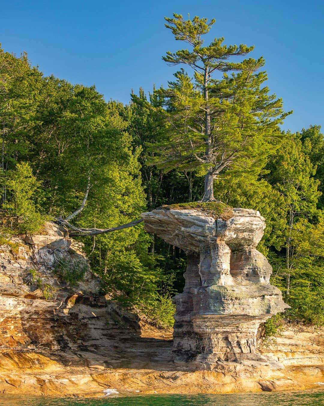 Tim Lamanさんのインスタグラム写真 - (Tim LamanInstagram)「Photo by @TimLaman.  Chapel Rock, Pictured Rocks National Lakeshore, Lake Superior, Michigan.  There once was an archway connecting this sandstone tower to the mainland.  It collapsed in the 1940’s.  The amazing white pine tree growing on the rock still has its roots crossing to the mainland, and is estimated to be 250 years old.  Shot during my camping trip in the UP back in August.  #Michigan #LakeSuperior #Chapelrock #PicturedRocks #PicturedRocksNationalLakeshore #up   BTW, at the end of each Month, I give away a book or small print.  For Sep I’m giving away an 8x10in Red Bird-of-Paradise print.  All current and new newsletter subscribers are entered.  All you have to do to enter is visit the link in bio and sign up for my newsletter.  Good luck!」9月20日 23時13分 - timlaman