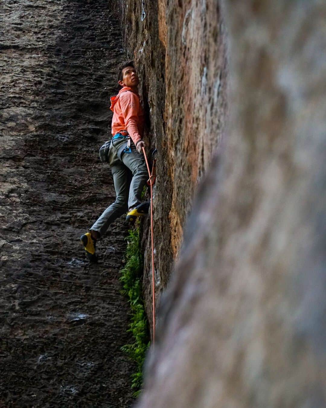エミリー・ハリントンのインスタグラム：「Sandstone taste test. @adrianballinger getting stemmy above the ferns in Mill Creek. The trifecta continues....Idaho (granite), Utah (sandstone), —> now for some limestone??? 💁🏼‍♀️ // @lasportivana @petzl_official」