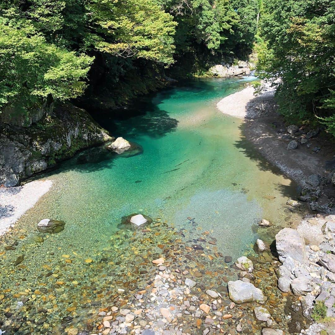 のインスタグラム：「✼ お知り合いの方の🏡にお泊り 近くの川が青くてめっちゃ綺麗でした✨ 食べて飲んで歌って😋 温泉入って♨️楽しかった✨ * 紅白新茶はお留守番がんばりました😸😽😼💮 * #天ノ川 #天川村 * #marikill66_0920 #marikill66holiday」