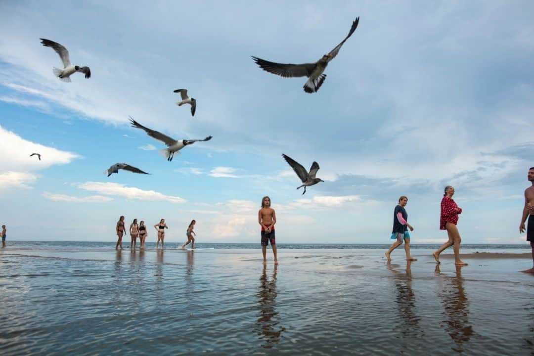 National Geographic Travelさんのインスタグラム写真 - (National Geographic TravelInstagram)「Photo by @joshuacogan / Cape Henlopen State Park on the Northeast coast of Delaware is a beautiful spot to experience the interaction of inland and coastal ecosystems. Here a young visitor feeds some of the wide variety of gulls that make their home along these shores. For more images of travels near and far, follow me @joshuacogan. #delaware #ourpubliclands」9月21日 1時06分 - natgeotravel