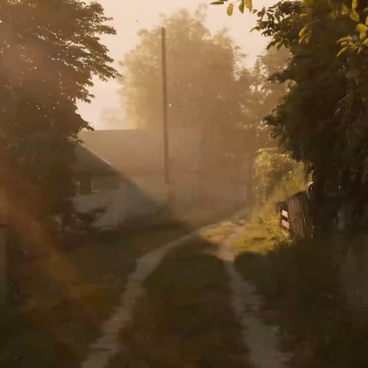 Fashion Weekのインスタグラム：「Experience the tranquility of the countryside with @bevza's short film for #NYFW, entitled "Tryp." Watch it now on nyfw.com」