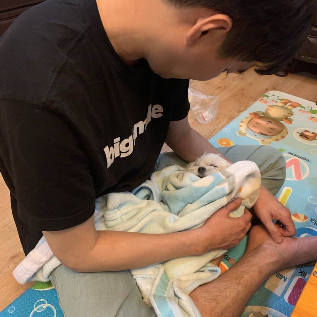 ホ・ジョンミンのインスタグラム：「눈에 넣어도 안아픈 개자식아 잘자 나한테 와줘서 고마워」