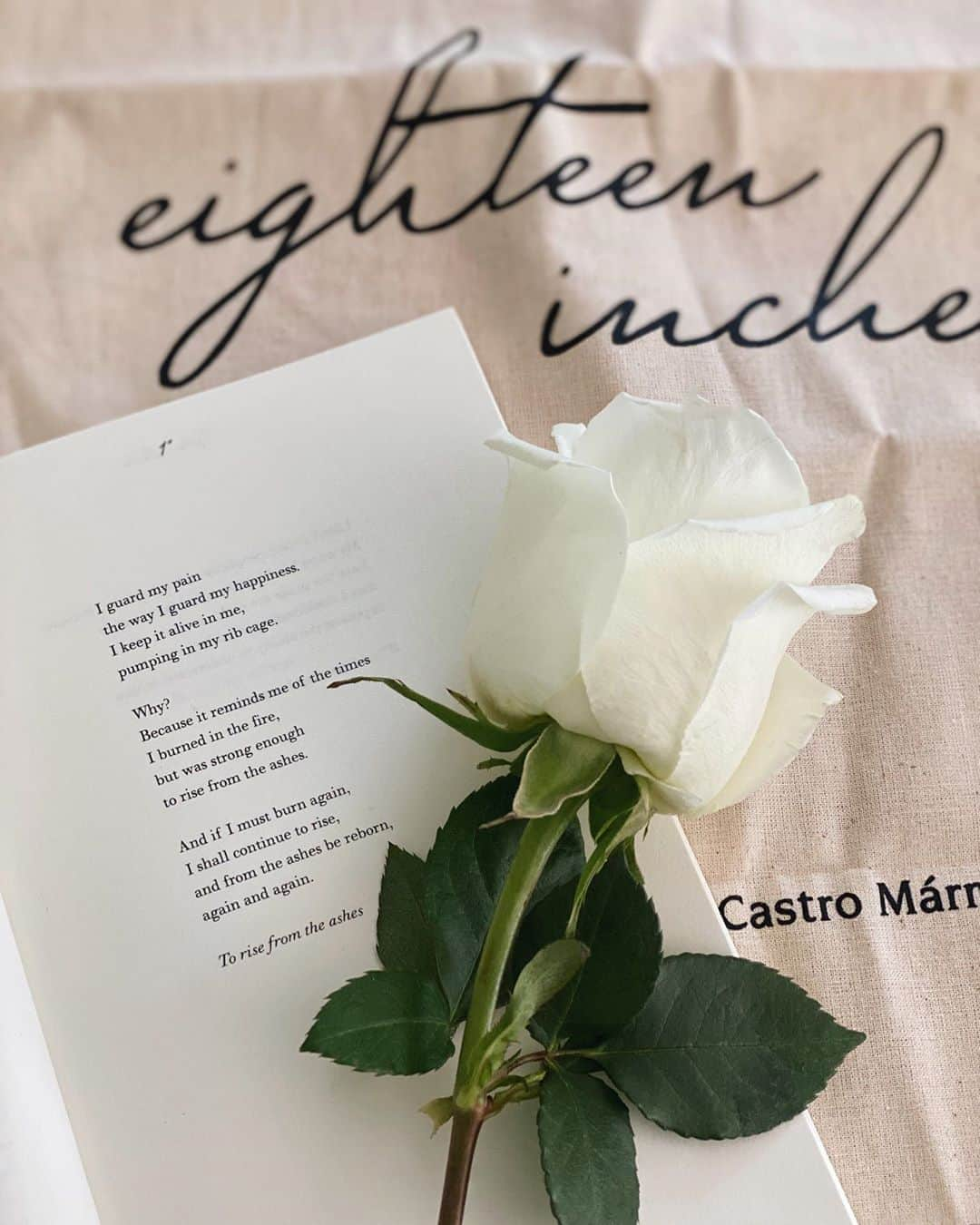 エイドリアン・バイロンさんのインスタグラム写真 - (エイドリアン・バイロンInstagram)「Eighteen Inches 🍃 #EighteenInchesBook The distance between the heart & mind. My beautiful & talented amiga @mirthamichelle has done it again with her new book! Giving us all the feels! She read one of her incredible pieces for my wedding & her writing continues to leave me in awe. Her raw vulnerability tugs at my heart with every page turn. Check out her books & chic merch! Swipe up on IG Stories! Besos Xx」9月21日 5時17分 - adriennebailon