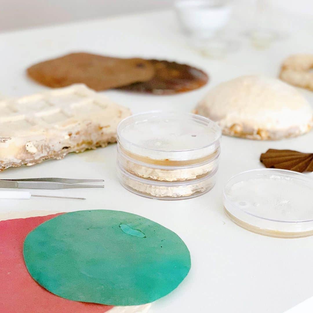 のインスタグラム：「Biomaterial design and test at the studio🧫✨ #bioart #biotech #biodesign #biotechnology #biology #chemistry #biolab #biomaterials #art #design #science #materialscience」