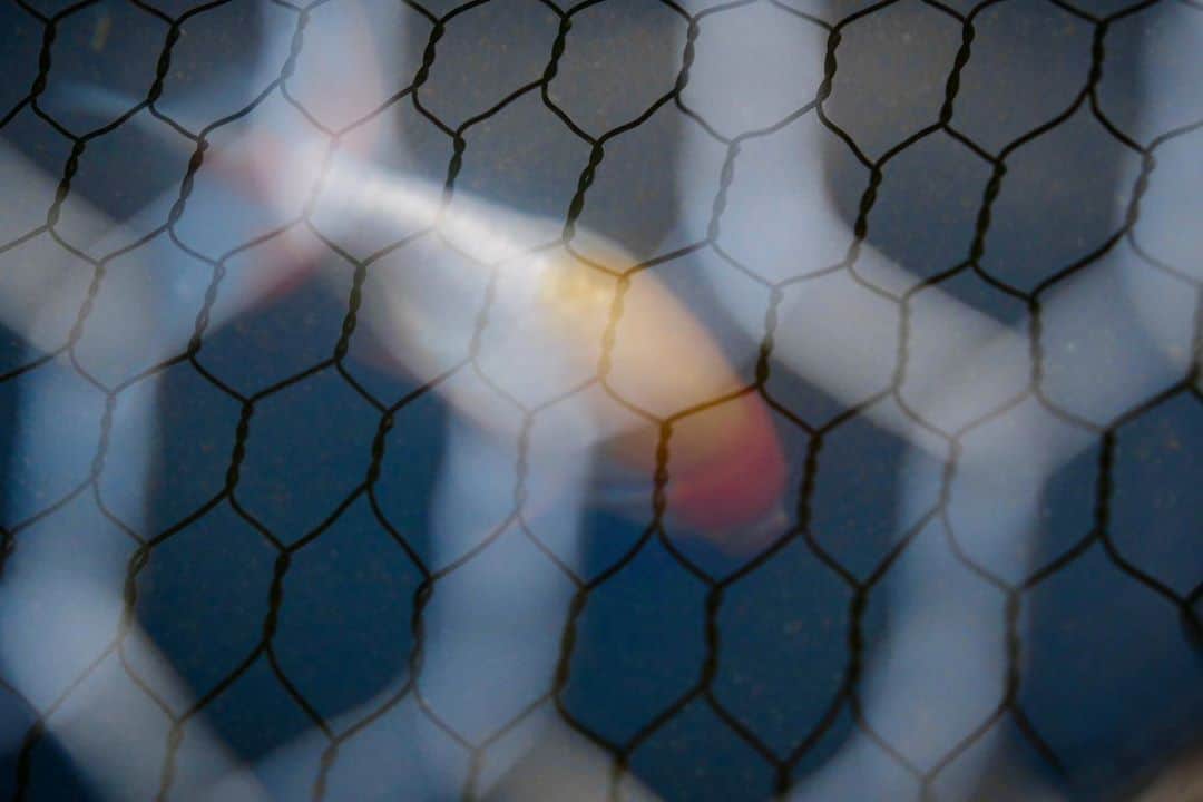 豊大槻のグルメインスタ