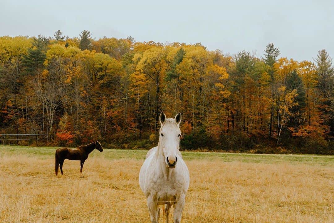 サムエデルマンのインスタグラム：「Inspiration for the Pre Fall Collection, photographed by Libby Edelman.   View our story for a look into the FIRE element.   #SamEdelman #PreFall2020 #ForcesOfNature」
