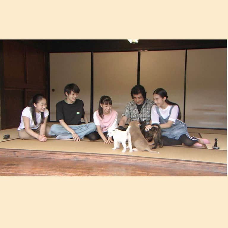 藤岡舞衣さんのインスタグラム写真 - (藤岡舞衣Instagram)「皆さんに嬉しいお知らせです❗️﻿ ﻿ 来月﻿ 10/3(土)夜7時からスタートする新番組﻿ 「ILOVEみんなの動物園」(日本テレビ)で、﻿ ﻿ 番組のファミリーとして、舞衣が家族と一緒に日本犬🐕を育てることになりました😳‼️﻿ ﻿ いろんな種類の日本犬🐶﻿ 一生懸命育てていきます✨﻿ 子犬ちゃん達の元気さや生命の大切さ。 かわいさが伝えられるように頑張ります^_^﻿ ﻿ 初回は2時間スペシャルだそうです！ 是非ご覧ください🤗﻿ ﻿ ﻿ #藤岡舞衣﻿#maifujioka #藤岡弘﻿#hiroshifujioka #ニコプチ﻿#しばいぬ #甲斐犬  #日本犬#fashion #専属モデル﻿ #新潮社﻿ #子役﻿ #ILoveみんなの動物園﻿ #日本犬﻿ #情報解禁#相葉雅紀 さん」9月21日 8時45分 - mai_fujioka_official