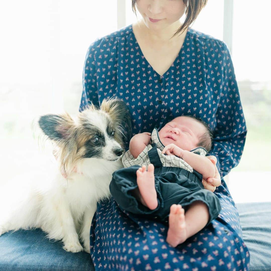 sorayuchiのインスタグラム：「brother🐶 ・ ソラとハル𑁍 ・ 体重が4600gで同じくらい𓅿」