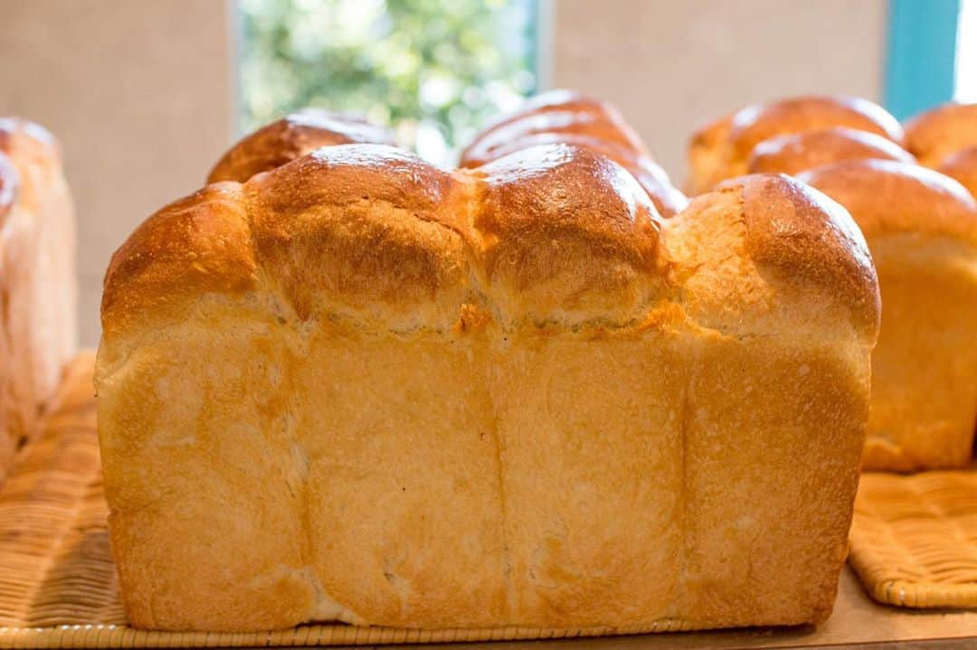 笹塚駅のパン屋さん オパンのグルメインスタ