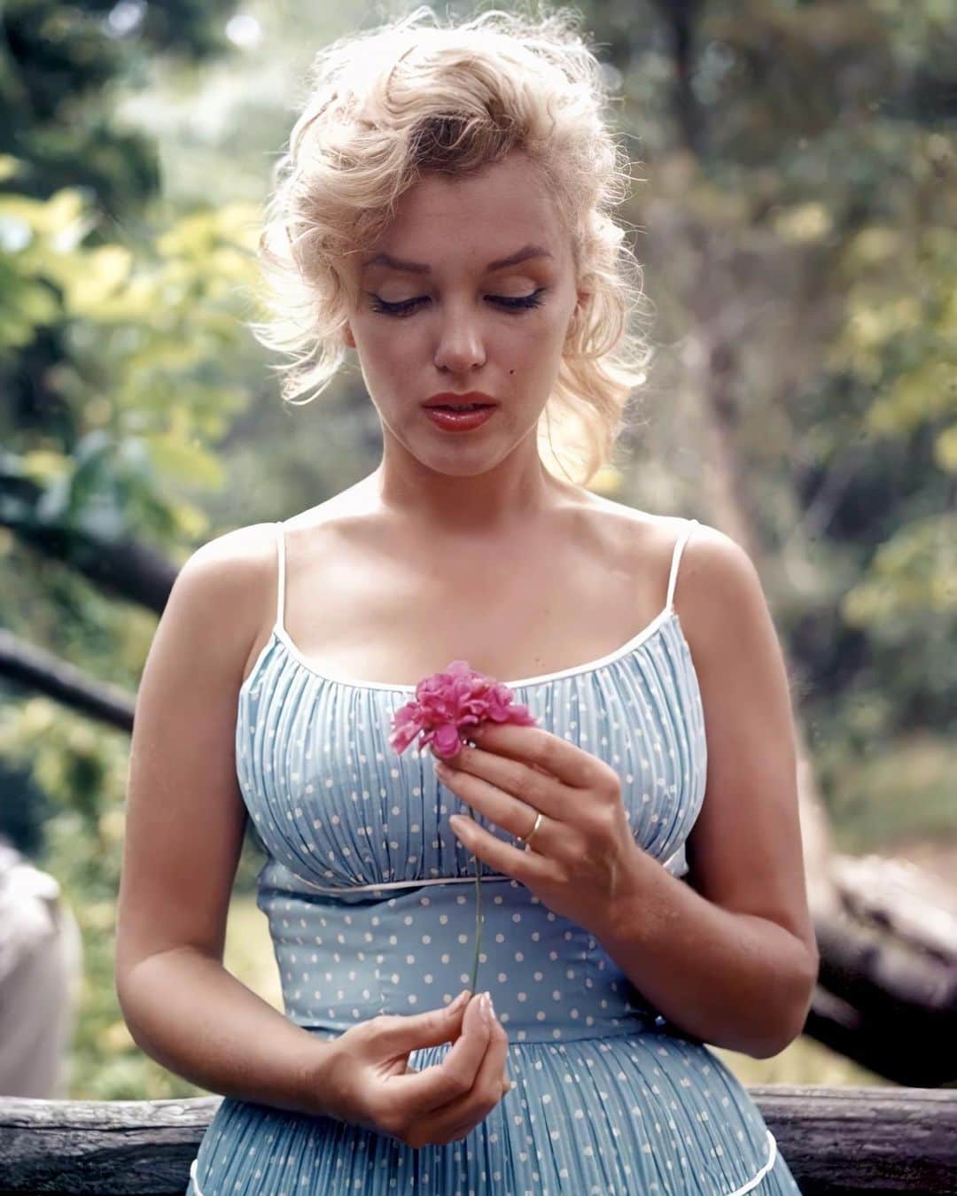 のインスタグラム：「Marilyn Monroe photographed by Sam Shaw in 1957. Love these pics 🌸 #marilynmonroe」