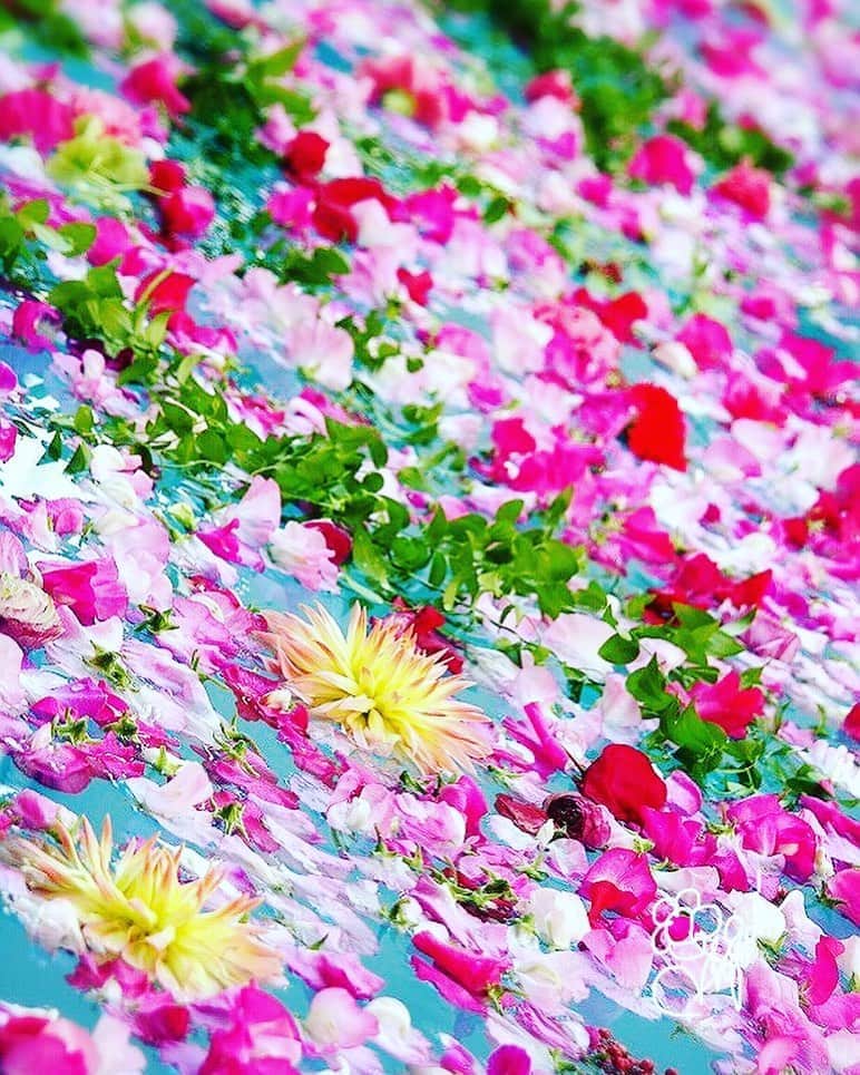 宮内 孝之 花飾人 花の妖精さんのインスタグラム写真 - (宮内 孝之 花飾人 花の妖精Instagram)「『花空間装飾』 花の妖精がやってきますように❗️ 夏の終わり😊 ワクワク  "Flower space decoration"  May the flower fairy come ❗️  End of summer 😊  Exciting  https://www.takayukimiyauchi.com/  #花　#おはな　#お花　#いけばな #花風水鑑定　#ブライダル　#秋 #花風水　#花屋　#華道家 #花のある暮らし　#花のある生活　#花好き　#花好きな人と繋がりたい　#花のある風景　#フラワーアレンジメント  #flower #flowers #flowerstagram  #宮内流花風水 #神社　#花空間装飾」9月21日 10時15分 - miyauchi_takayuki_flowers