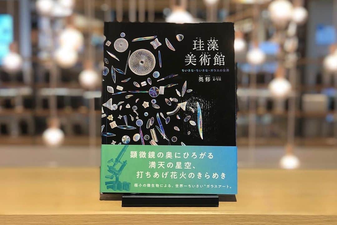 柏の葉 T-SITEのグルメインスタ