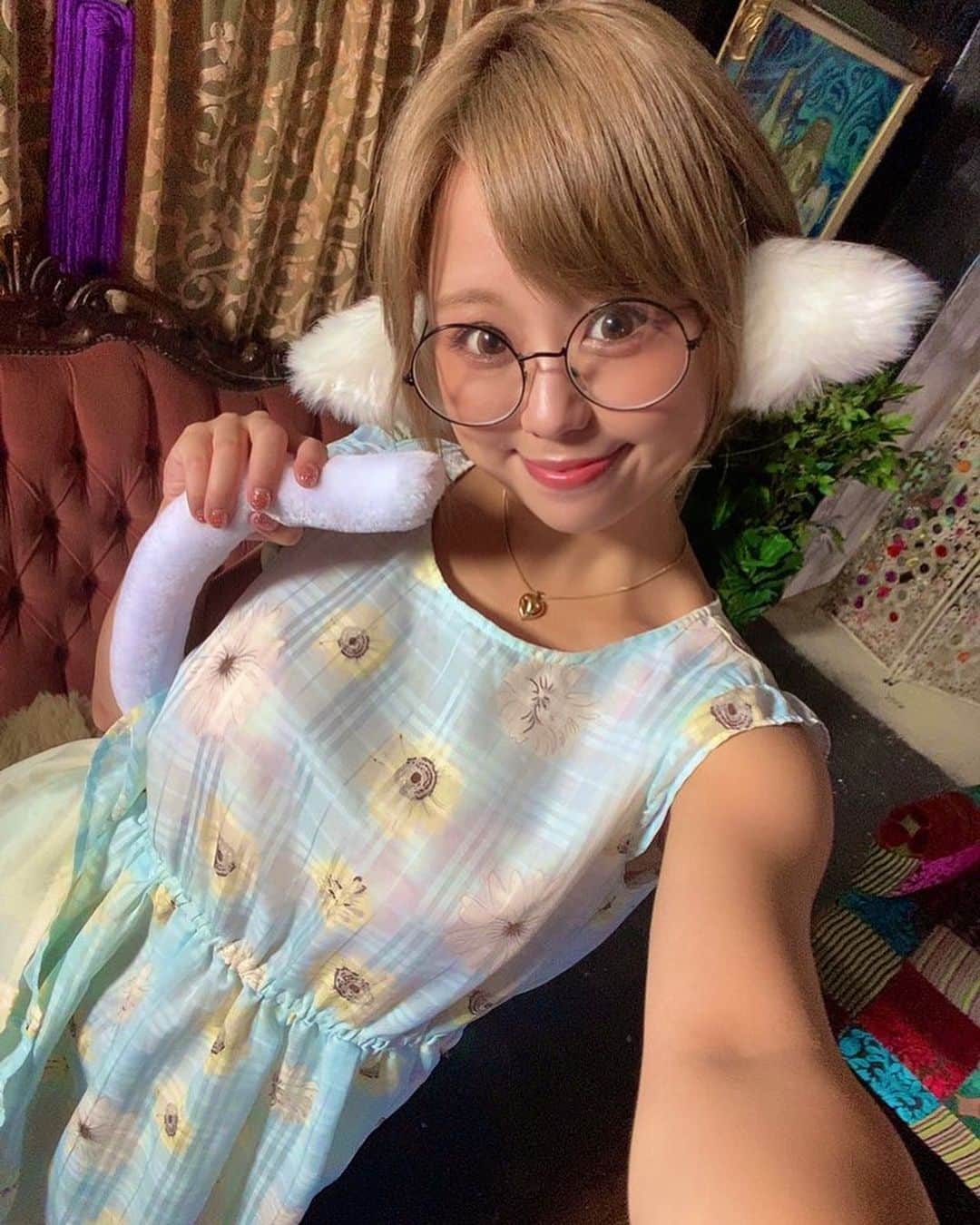 亜矢みつき（神谷充希）さんのインスタグラム写真 - (亜矢みつき（神谷充希）Instagram)「シコティッシュフォールド😻 飼ってくれるご主人様募集中！！ #スコティッシュフォールド #猫 #cat #しっぽ #垂れ耳 #ご主人様 #募集中 #コスプレ」9月21日 10時54分 - ma.yamitsuki