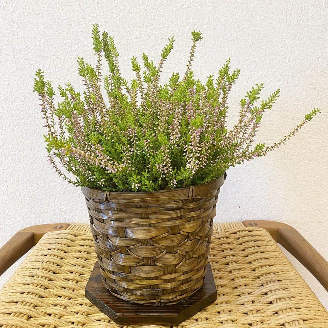 祥吉のグルメインスタ