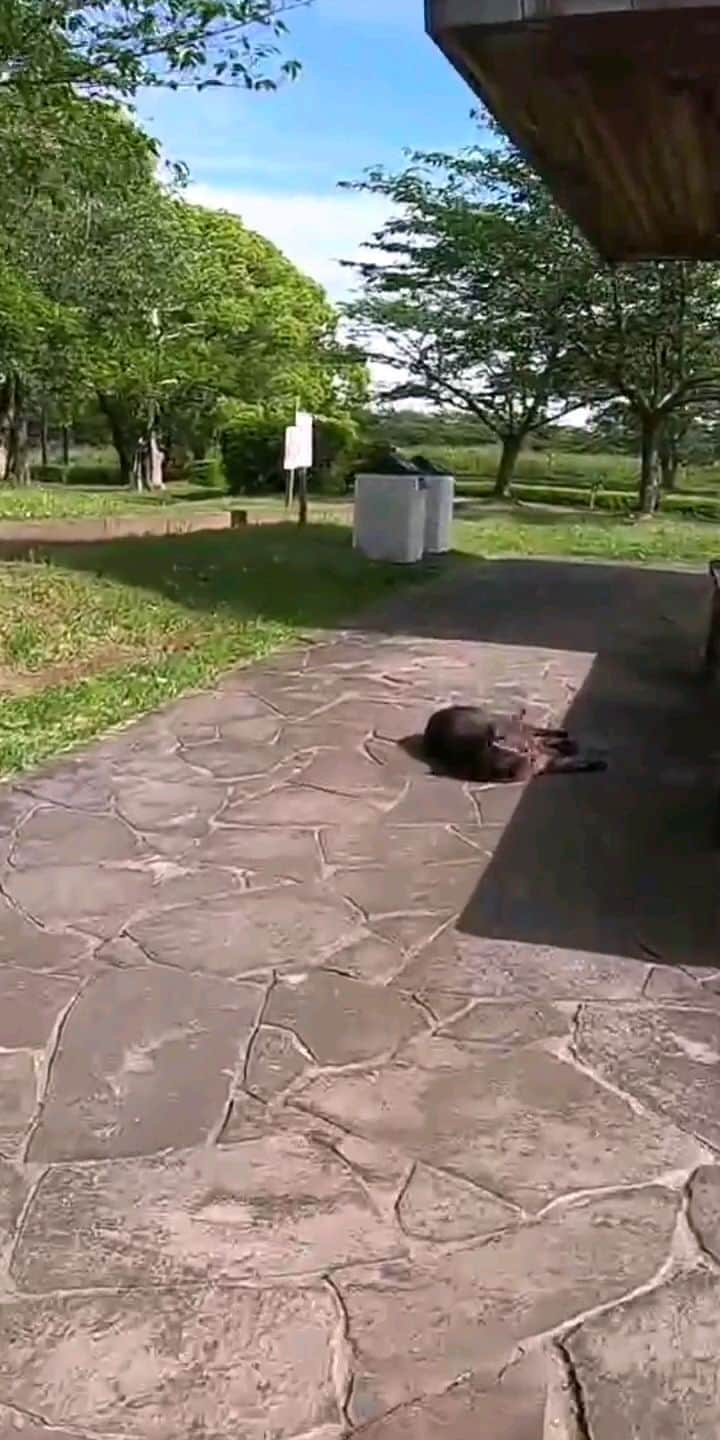 のインスタグラム