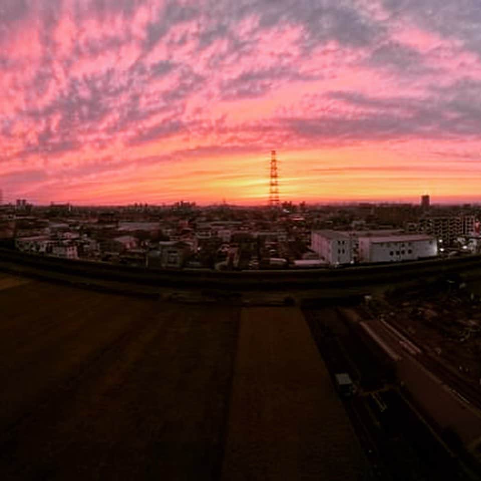 宮田麺児のインスタグラム：「我が田んぼ。 夕日を浴びて最高の米となる  #山田錦 #田んぼ #地球と云う花瓶 #田んぼと云う花瓶 #東大阪 #日本酒 #稲刈り #田んぼは地球の生け花」
