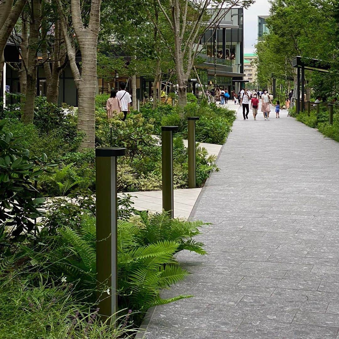 林信行さんのインスタグラム写真 - (林信行Instagram)「うらやましい街の誕生 #立川グリーンスプリングス  The “well-being town”, #TachikawaGreenSprings  is a peaceful green town that makes most of other Tokyoite jealous  　どちらの方向を見ても緑が溢れていて、空間の「間」の取り方の尺度が日本ではない。よく観察すると看板やノボリといった頭を疲れさせる文字の情報がほとんどないのも、ここがリラックスできる一因かも知れない。 　どっちの方向こをみて広々と開放的で居心地が良く、中にいると日本にいることを忘れる。 　では、日本ではなくてどこかと言われると、ちょっと米国のグーグル本社のキャンパスを思い出す（看板などの広告がないことも含めて）。 　たが、グーグル本社よりかはもう少し広々としているし、緑もはるかに多い。さらに街の中を小川が流れていたりして、そこで子供たちが裸足で遊んでいる。 　さらに、どの建物も派手な色とかではなく、素材であったり、開放感に寄り添った屋根の形などでさりげなく主張する大人な建物。そして、どの建物も、そこかしこにさりげないオシャレさがある。 　この中に小川も流れる広大な緑を囲むように美術館もあれば、PLAY MUSEUMという子供が1日中遊べる楽しくもかわいらしい施設があり、巨大なホールがあり、多くの飲食店やセレクトショップがあり、オフィスがありとなんともぜいたくなつくり。 　デベロッパーが居心地の良い街にするために全体を通してのアートディレクションをしっかりしている街。だからこその美しさ、心地良さがあったのだと思う。  　土曜日、この気になる町を町の名士、福永紙工の代表、山田明良さんに案内してもらうという贅沢な時間を過ごした。 集合場所は駅からGREEN SPRINGSの２階にあがるエレベーターを昇ってすぐにある巨大セレクトショップ、「TAKEOFF-SITE」。中に入ると、右にローカルラジオのスタジオが、そして正面に目立つ黄色いプロペラ機が飾られている。よく見ると床には滑走路が描かれている。 　プロペラ機の翼には「タチヒ」の文字。 　昔、この地で飛行機を製造していた会社で、その後、デベロッパーに転身したそうだ。 　そのタチヒに、このグリーンスプリングスの顔ともなる店を任され、コロナ禍で他のテナントが店を開けられない中、まっさきにオープンしたのが、この「TAKEOFF-SITE」。まさにグリーンスプリングスの静かなTAKE OFF（離陸）を担ったお店。 　そして、その店の運営を任されているのが、「 #空気の器 」や「 #テラダモケイ 」といった商品で、世界のミュージアムショップに愛される世界に誇れる立川ブランド、福永紙工だ。  　店の奥には先日、渋谷スクランブルスクエアの東急ハンズで展開されていたような福永紙工 #かみの工作所 の商品が愛らしく展示されている。 　その横には、立て付けの本棚に地元のブックセレクターが選んだ選書。 　そして入り口の近くには福永紙工が選んだ地元企業の商品がセレクトされ並べられている。 　まさに立川のステキを知れる店。グリーンスプリングスを訪れたら、まっさきに寄って欲しい店の１つ。 　もう１つ寄って欲しいのは「Rust」。先日、林美保子さんの案内で訪れた名古屋にできた新しい街、グローバルゲートで出会って、あまりにもステキで惚れてしまったグリーン（観葉植物）の店。置いてあるグリーンのチョイスが、置かれ方が、そして一緒に売られている装飾品や小道具がどれもおしゃれでいい雰囲気。都内のグリーンショップの感覚で2600円くらいかな？と値段を見ると240円といった具合で、この雰囲気ならもっと高い値段でも売れそうなのに、まるで町の園芸ショップ並みの良心的価格から逆に、世の中をステキなグリーンで満たそうという心意気が伝わってくる。立川グリーンスプリングスで緑いっぱいの環境を見た後だと、大人買いして仕事部屋をグリーンで埋めたくなる衝動に駆られる（でも、たぶん、世話をできないのでやめておいた）。 　「はらぺこあおむし」でお馴染みエリック・カールの展覧会（常設？）もあるオシャレな児童会館、PLAY! MUSEUMも大人でも楽しめたし、夕方になったらSORANO HOTELのROOFTOP BARもいいけれど、ホールの左上に隠れるようにたたずむThe Dragon Flybarも、こだわりのジンで用意したジントニックはじめなかなかいい雰囲気の夕陽が楽しめそうなbarになっていた。  つづきと他の写真はFBで」9月21日 11時40分 - nobihaya