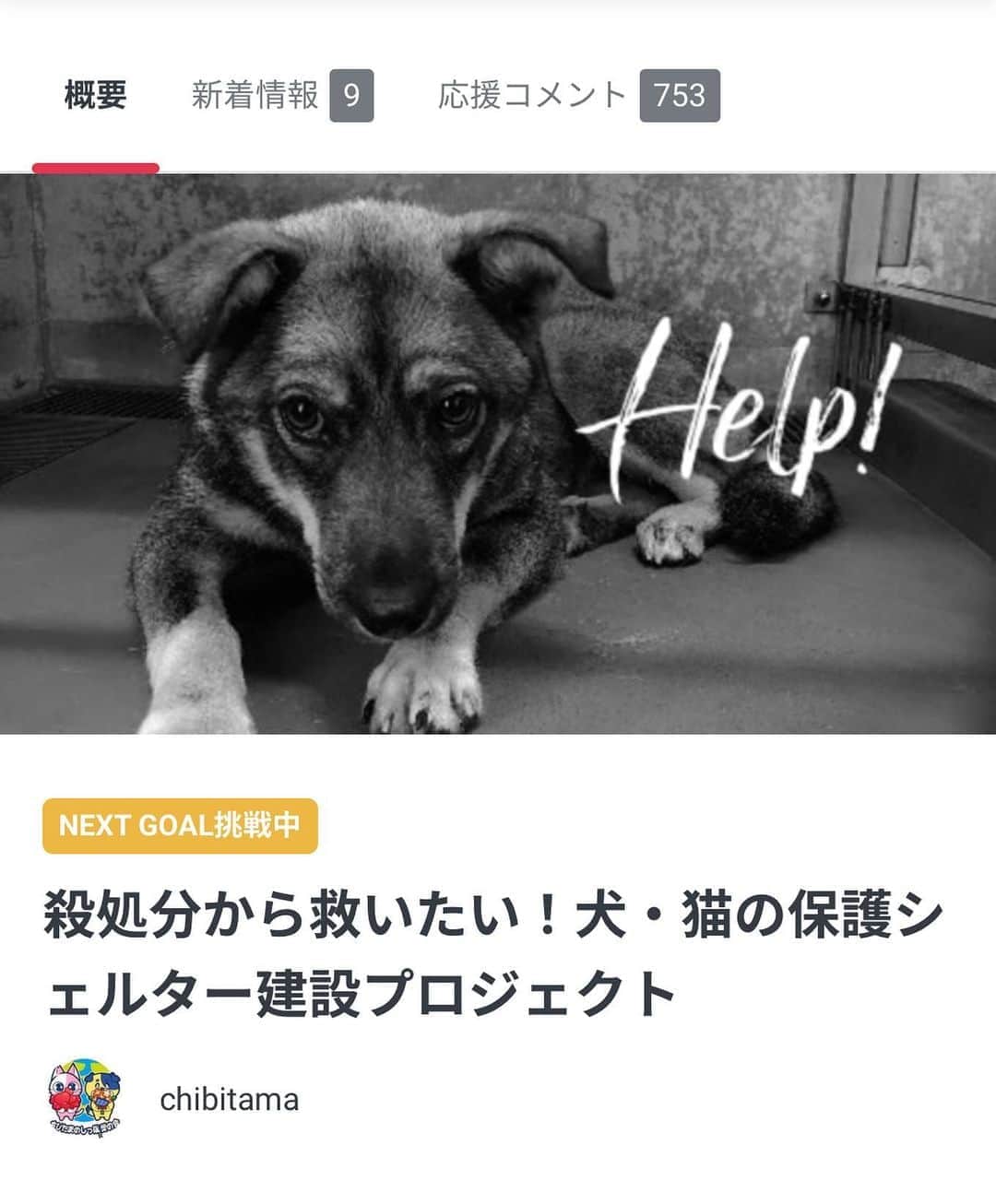 のインスタグラム：「・ 動物愛護週間なので私の応援する個人ボランティアさんをご紹介します。  ご存知の方もいらっしゃると思いますが私が一時預かりをしていた山口県のキナリやハナちゃん、そして今我が家にいるKINGたちを保護してくださった個人ボランティアの @yamaminori4655 さんが 今、殺処分をするのではなく保護して新しい家族を見つける為のシェルターを設立したいと動き出しました！  その為のクラウドファンディングがスタートしており、皆さんにご協力いただけないかとシェアしております。  @yamaminori4655 さんがこのタイミングでクラウドファンディングに踏み切ったのはご自身に乳癌が見つかり、自分が動けなくなるかもしれないと感じたから。  自分がいなくてもシェルターがあれば引き出して保護してあげることができる。その為には一刻も早くシェルターを設立しないと。という思いからなんです。  今は手術を終え、これからは抗がん剤との闘いが始まります。  それでもなお、今でも犬や猫たちの保護活動をされている @yamaminori4655 さん。  彼女の愛護活動の本気さを改めて感じ頭が下がる思いです。  今の目標金額は1800万と聞きました。 最終目標までもう少しです。  皆さんのご協力をお願いします🙏🏻 ・ クラウドファンディングは私のストーリーか @yamaminori4655 さんのトップ画面URLから！ ・ ・ #保護犬  #保護猫」