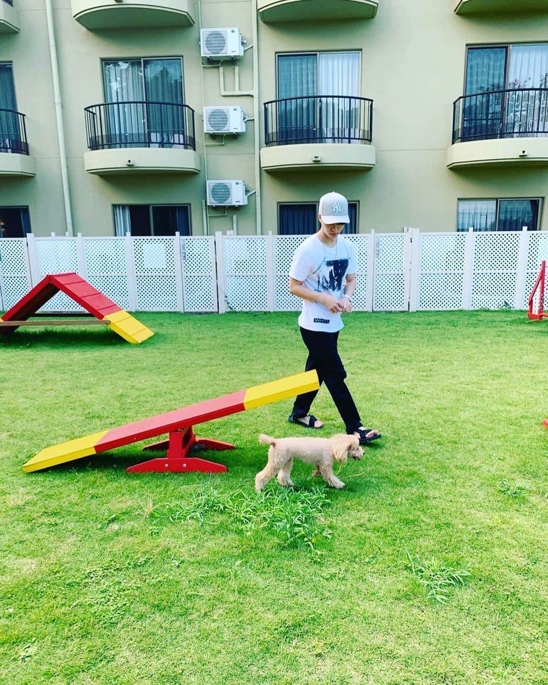 福本有希のインスタグラム：「ティファニーと旅行いった時の写真🐶 これからも色んな場所連れて行ってあげたい✨  #犬 #トイプードル #ドッグラン #犬okの旅館 #犬のいる暮らし」