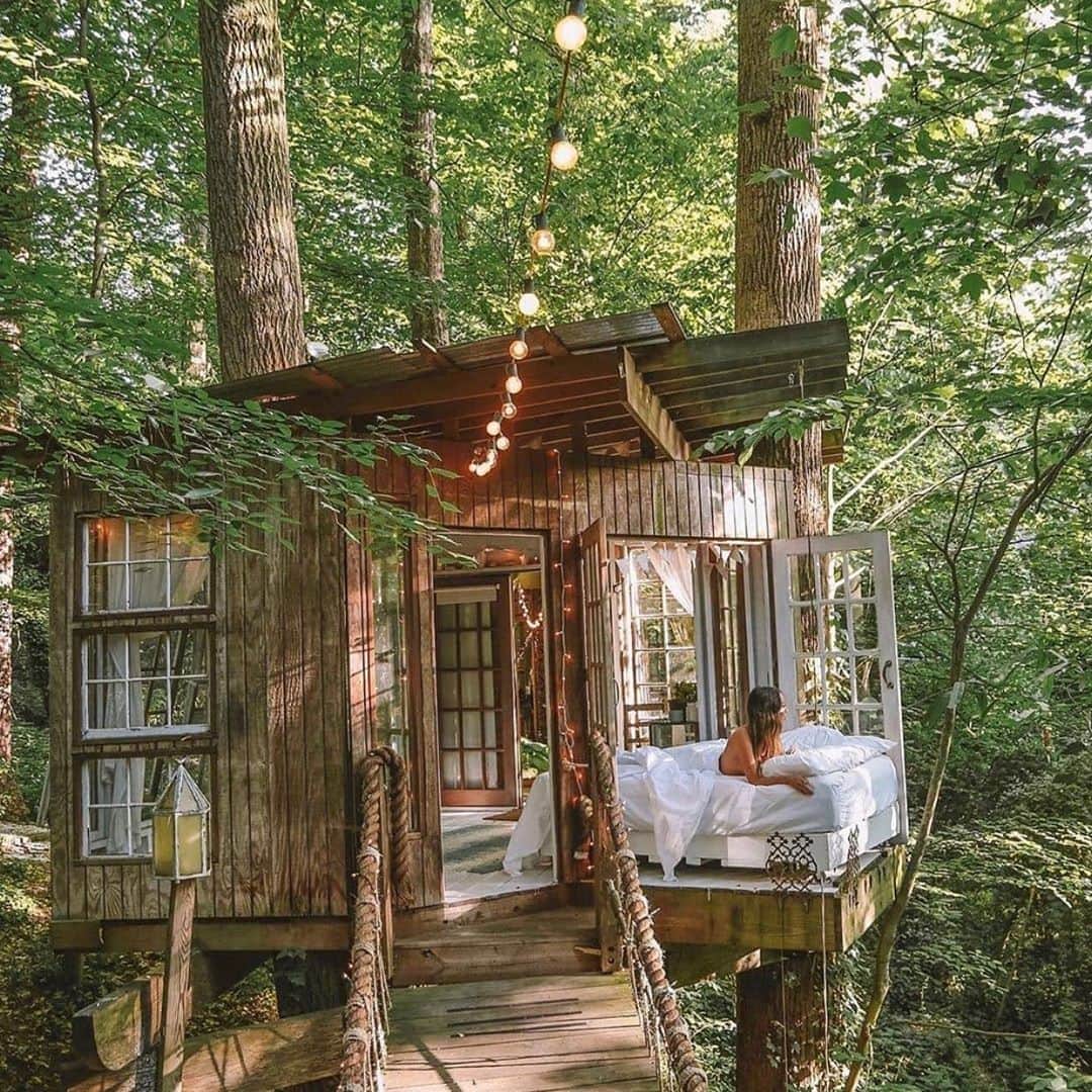 Wet Sealのインスタグラム：「Wow wow wow, this treehouse!! 😍🌿」