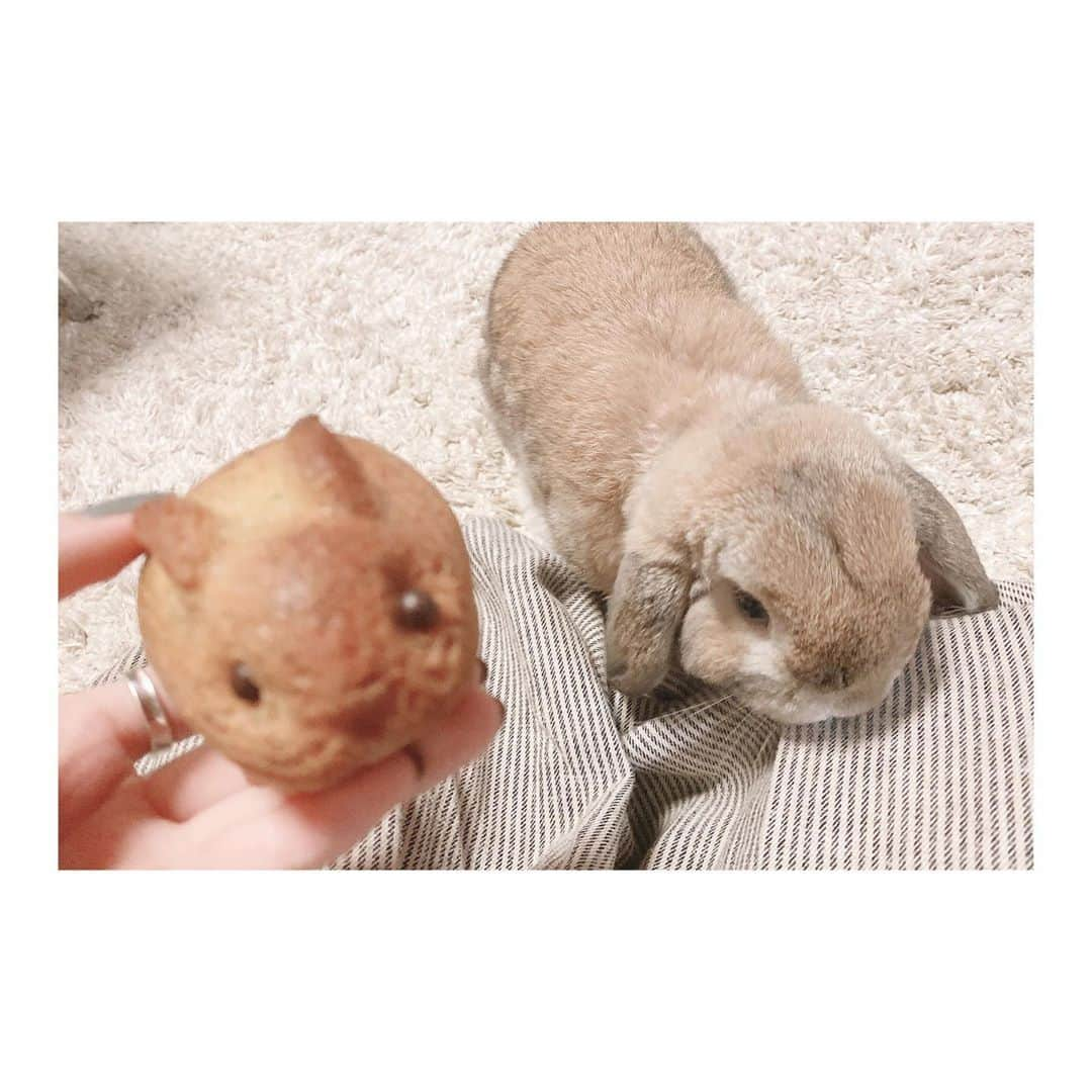 来栖りんさんのインスタグラム写真 - (来栖りんInstagram)9月21日 12時53分 - ringring_rin