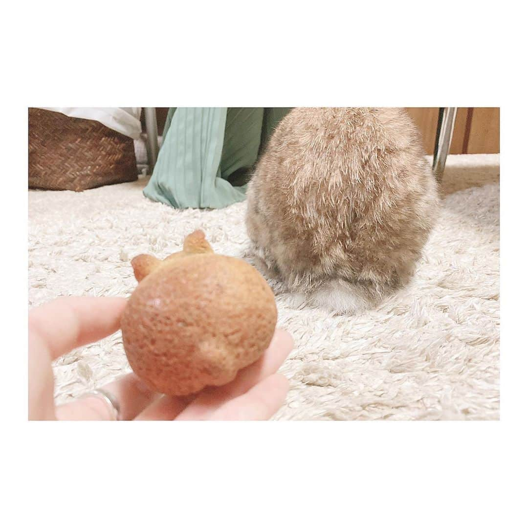 来栖りんさんのインスタグラム写真 - (来栖りんInstagram)9月21日 12時53分 - ringring_rin