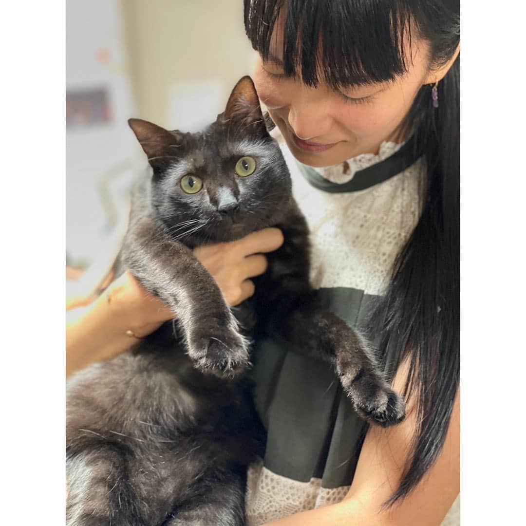柴咲コウのインスタグラム：「僕は、元気です。  #モントン #黒猫 #保護猫 #つやつや  #俺はモンチ #保護され鳴いたあの道 #時は経ち今はここが俺んち #今の体型はまるで餅」