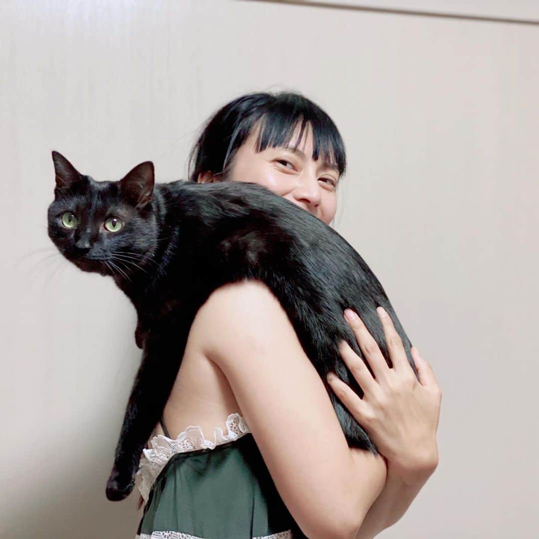 柴咲コウさんのインスタグラム写真 - (柴咲コウInstagram)「僕は、元気です。  #モントン #黒猫 #保護猫 #つやつや  #俺はモンチ #保護され鳴いたあの道 #時は経ち今はここが俺んち #今の体型はまるで餅」9月21日 12時58分 - ko_shibasaki
