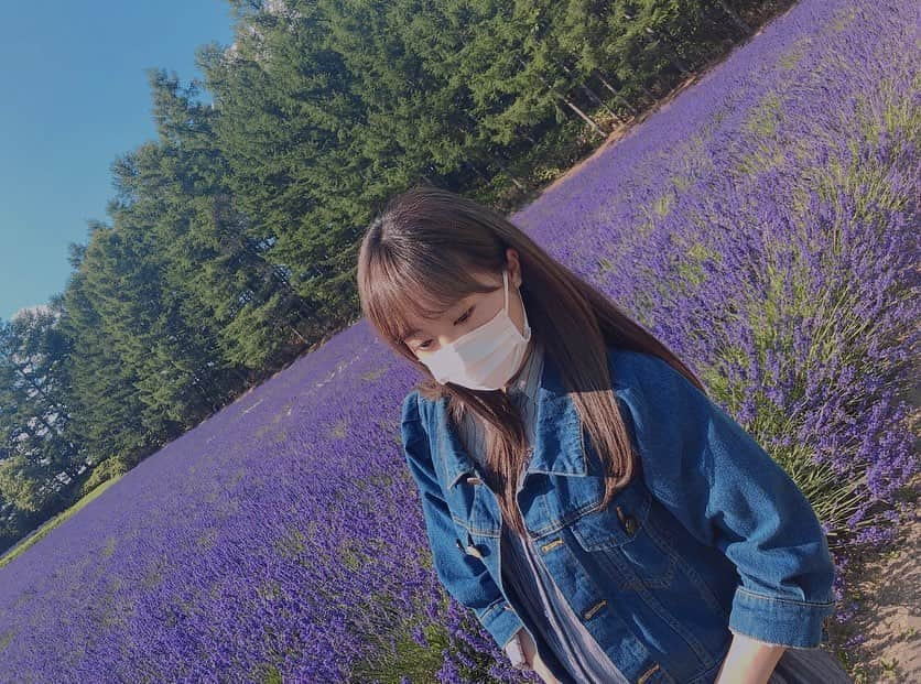 坂口渚沙さんのインスタグラム写真 - (坂口渚沙Instagram)「ファーム富田 のラベンダー畑💜. . 見頃は過ぎちゃったけど、 本当に綺麗だった〜. . #北海道. #ファーム富田. #ラベンダー. #ラベンダー畑. #flowers. #花. #花のある暮らし. #花のある生活. #花のある風景.」9月21日 13時34分 - nagisa_sakaguchi