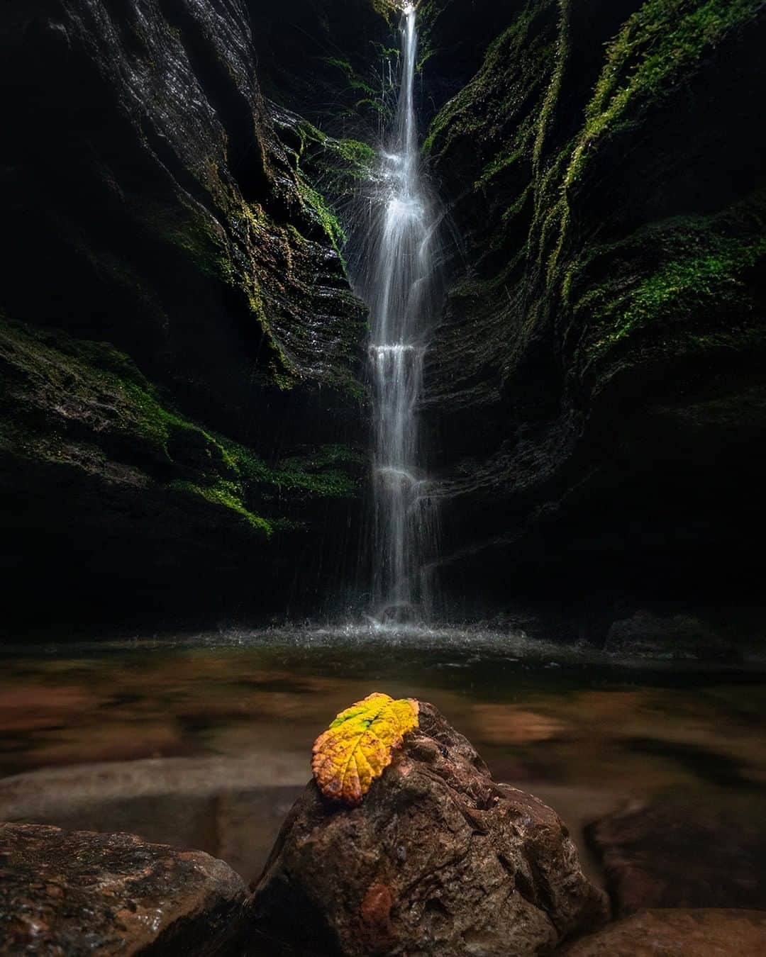 Nikon Australiaさんのインスタグラム写真 - (Nikon AustraliaInstagram)「“I recently had the opportunity to spend some time shooting with the Nikon Z 50, and the results were simply astounding.   This is the most convenient camera I've ever picked up - from the ergonomics to the compact size to the back of screen capabilities - ease of use shines through.  My favourite feature was the touchscreen autofocus. Coupled with the tilting screen, I could comfortably shoot low to the ground perspectives without the need for a tripod or contorting myself into awkward positions, and still easily focus stack numerous images.  On the tripod, the low light capabilities of the Z 50 when used with the native NIKKOR Z DX 16-50mm f/3.5-6.3 VR lens gave me some jaw dropping clarity, especially when shooting Tasmania's famously clear night skies.  At this price bracket, it is no wonder this lightweight powerhouse recently won the EISA Best Buy Camera Award for excellent quality at a competitive price.” - @deni_cupit   Camera: Nikon Z 50 Lens: NIKKOR Z DX 16-50mm f/3.5-6.3 VR  #Nikon #MyNikonLife #NikonAustralia #NikonZ50 #Z50 #NIKKOR #LandscapePhotography」9月21日 13時59分 - nikonaustralia