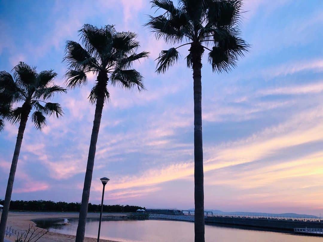 17人をフォロー中 【結婚式場】ラヴィマーナ神戸ウエディングのグルメインスタ