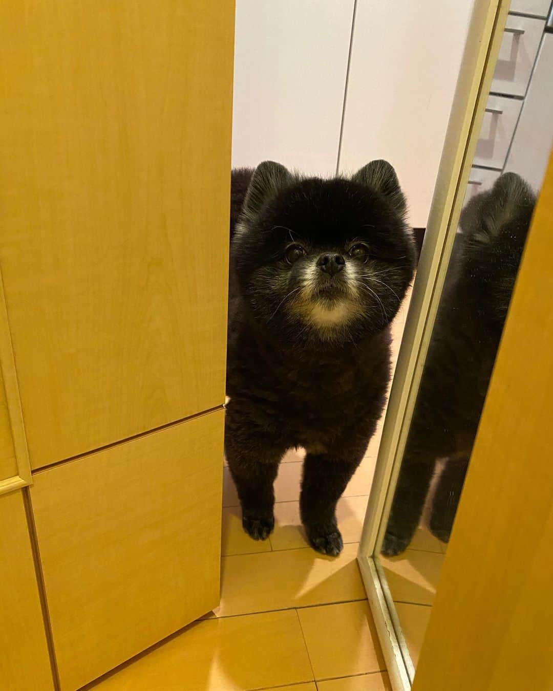 なちゅのインスタグラム