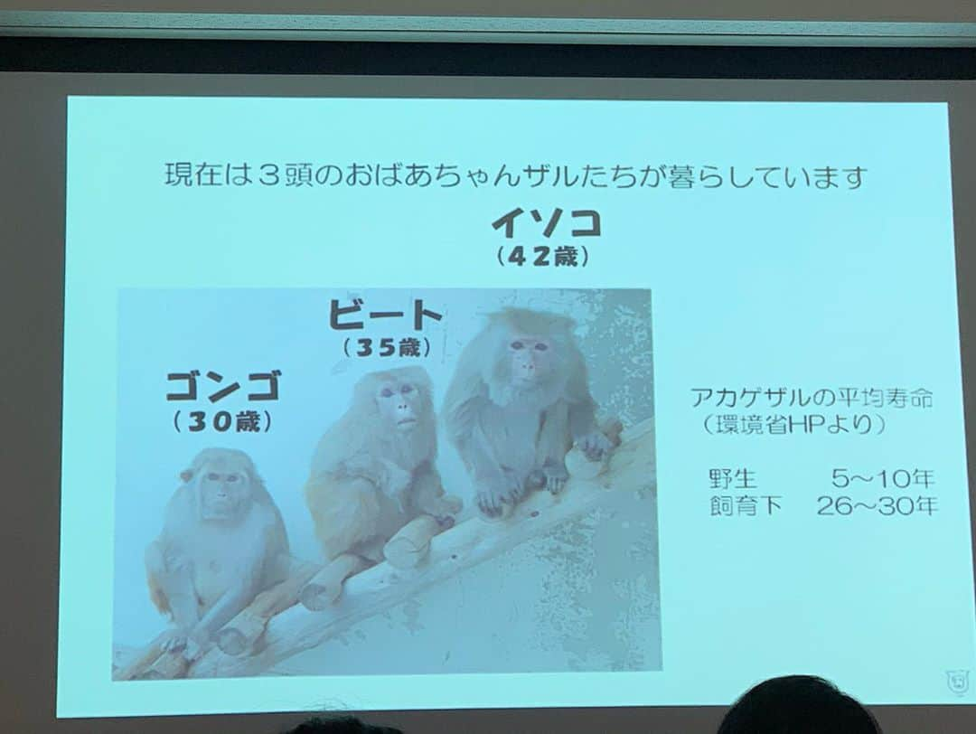 八、おこめさんのインスタグラム写真 - (八、おこめInstagram)「『長寿を祝おう』講演会🐒🐒🐒 @kyotoshidoubutsuen に参加してきました〜♩ 講演会の参加プレゼントは、お猿のギネス最年長記録のイソコの巾着♡(コレが目当てで参加応募したw) 最初にお猿担当の飼育員さん(イソコ巾着『イソギンチャク』の考案者)のお話。 アカゲザルの説明や、老猿ホーム、お猿のおばあちゃんズの日常の様子をユーモアと愛情を持ってお話してくれました♩ 続いてニホンザルの生態研究をされてる#中道正之 さんのお話。 『えぇ〜！そうなんや〜！』って感じでお猿の生態や暮らしを知ることができてとっても楽しい時間だった♩ 3枚目→ そしてイソコ巾着の中に入ってたサプライズ写真で当たりの縦並びおばあちゃんズ写真が入ってたはなちゃん( @grinhana_ )が中道正之さんの本をゲット🙌✨ 京都市動物園では他にも御長寿の動物がたくさんいます✨ みんなが過ごしやすい様に飼育員さん達が色々工夫して愛情たっぷりで接してるからみんな元気に居るんだね✨ はなちゃんの影響で大好きになった京都市動物園♡ 毎日投稿が楽しみだ♩ #京都市動物園 #長寿を祝おう #アカゲザル #イソコ巾着 #動物園 #京都市 #敬老の日」9月22日 0時24分 - naomiuno