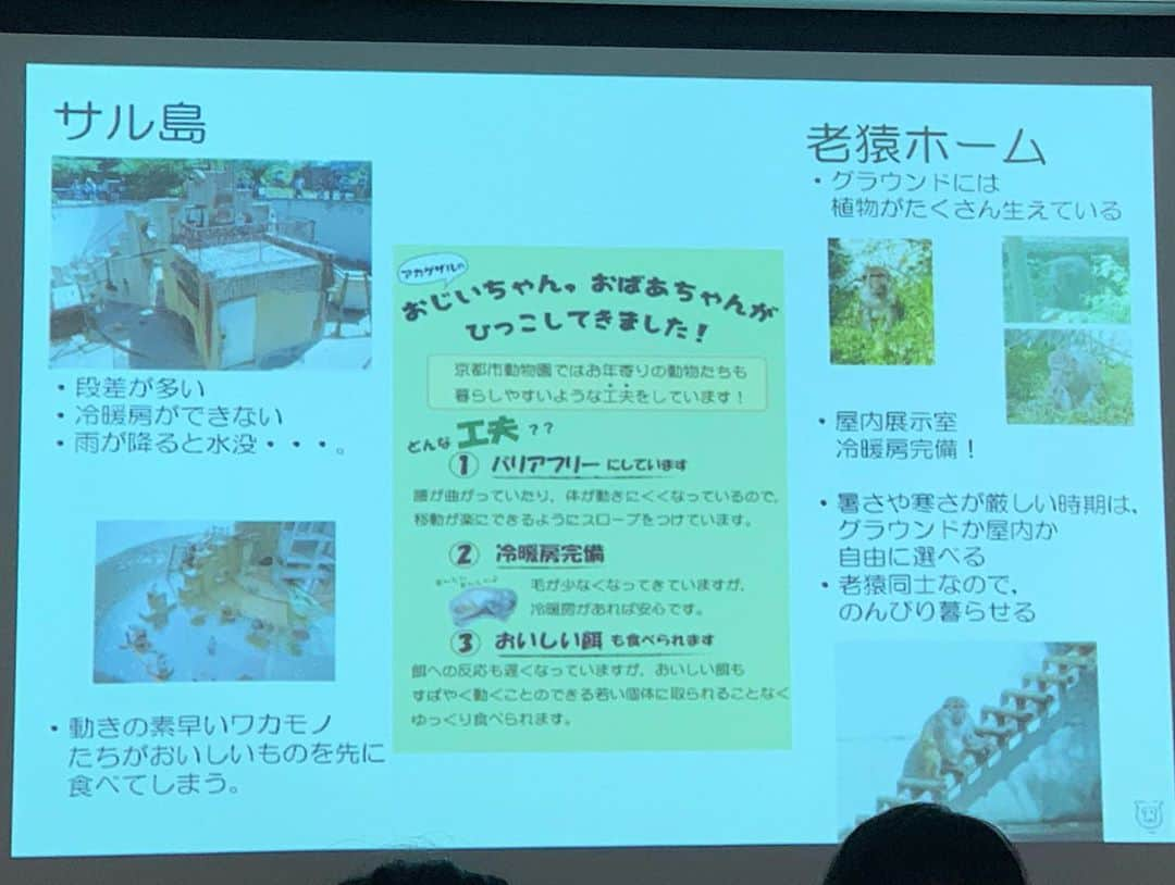 八、おこめさんのインスタグラム写真 - (八、おこめInstagram)「『長寿を祝おう』講演会🐒🐒🐒 @kyotoshidoubutsuen に参加してきました〜♩ 講演会の参加プレゼントは、お猿のギネス最年長記録のイソコの巾着♡(コレが目当てで参加応募したw) 最初にお猿担当の飼育員さん(イソコ巾着『イソギンチャク』の考案者)のお話。 アカゲザルの説明や、老猿ホーム、お猿のおばあちゃんズの日常の様子をユーモアと愛情を持ってお話してくれました♩ 続いてニホンザルの生態研究をされてる#中道正之 さんのお話。 『えぇ〜！そうなんや〜！』って感じでお猿の生態や暮らしを知ることができてとっても楽しい時間だった♩ 3枚目→ そしてイソコ巾着の中に入ってたサプライズ写真で当たりの縦並びおばあちゃんズ写真が入ってたはなちゃん( @grinhana_ )が中道正之さんの本をゲット🙌✨ 京都市動物園では他にも御長寿の動物がたくさんいます✨ みんなが過ごしやすい様に飼育員さん達が色々工夫して愛情たっぷりで接してるからみんな元気に居るんだね✨ はなちゃんの影響で大好きになった京都市動物園♡ 毎日投稿が楽しみだ♩ #京都市動物園 #長寿を祝おう #アカゲザル #イソコ巾着 #動物園 #京都市 #敬老の日」9月22日 0時24分 - naomiuno