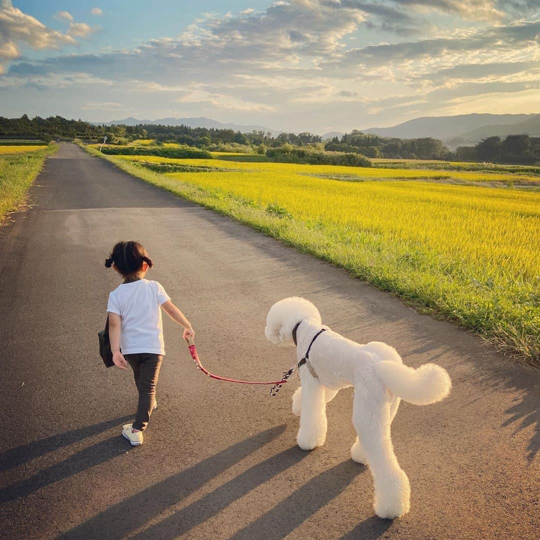 たまねぎのインスタグラム